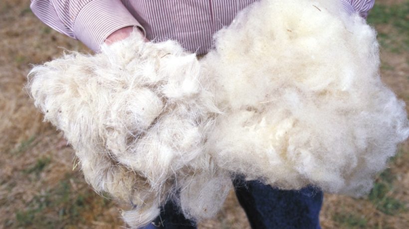 Why choose wool?