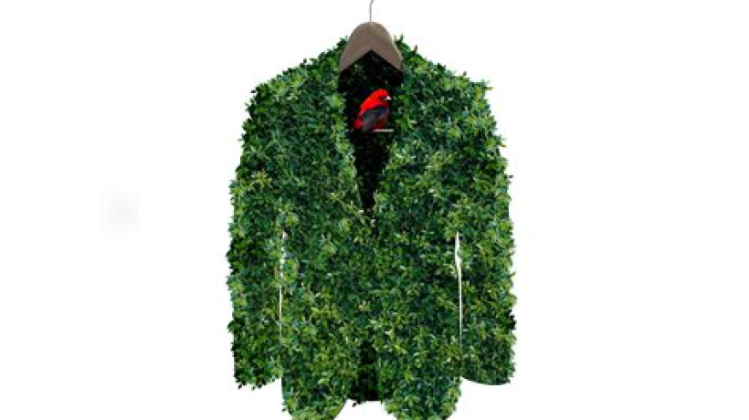 How to be more sustainable when clothes shopping