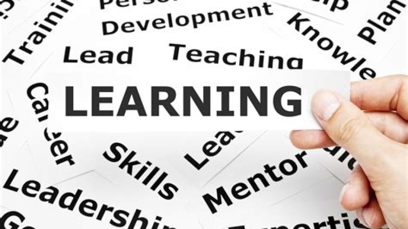 The Importance of Training Courses for Professional Development