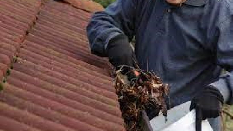 Three Common Winter Roof Problems to Look Out For