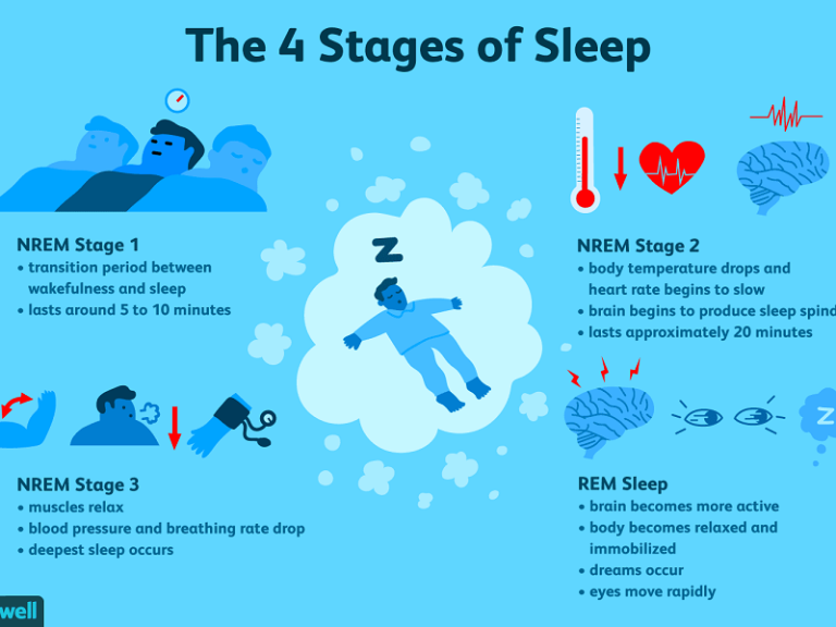 Sleep cycle: what stages and how they work - Check Your HUD