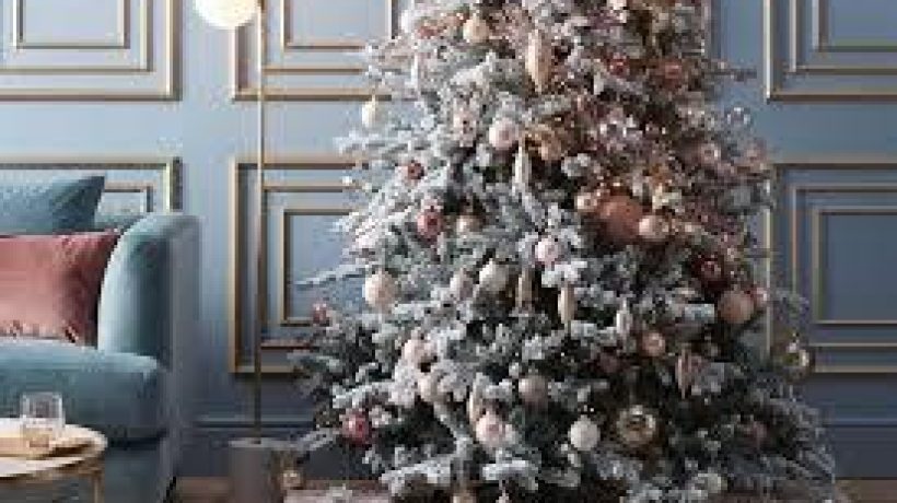 Choosing the Right Christmas Tree for your Home