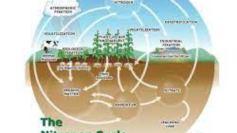 Why is Nitrogen a Problem in Farming?