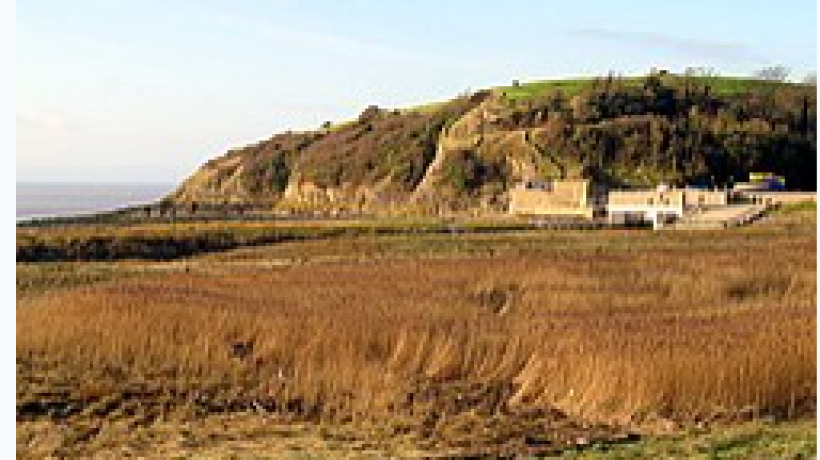 Why the Local population of Clevedon are going Green