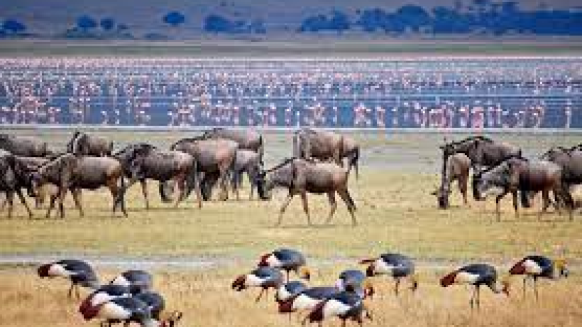 Amazing Facts About Tanzania