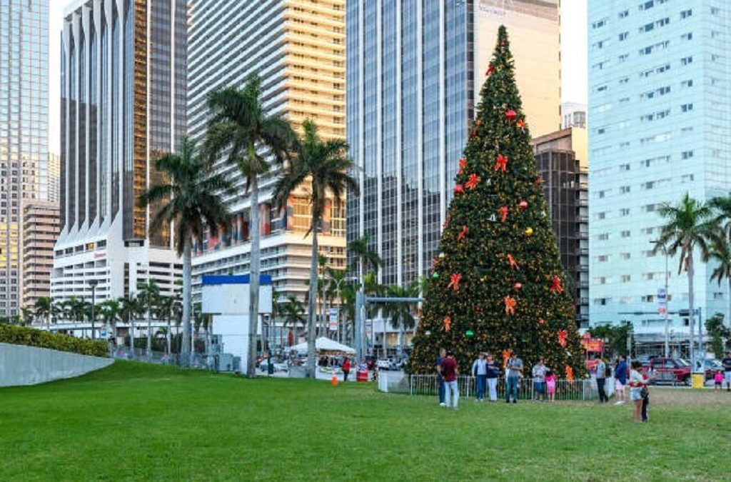 Can you have a real Christmas tree in Florida