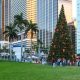 Can you have a real Christmas tree in Florida