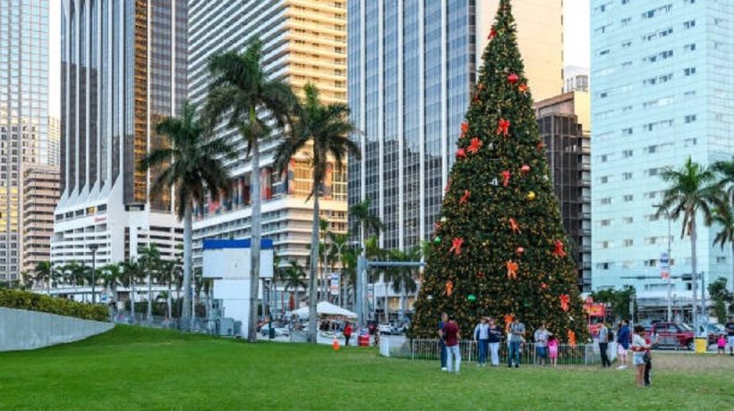 Are Live Christmas Trees Allowed in Miami Condos?