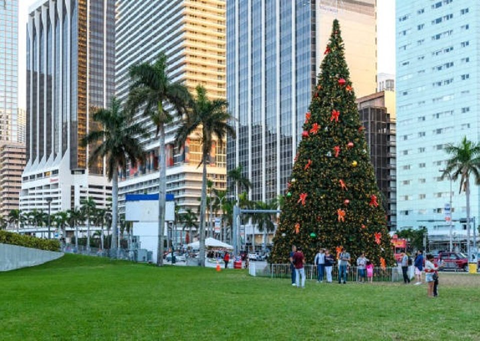 Can you have a real Christmas tree in Florida