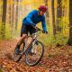 Rider navigating a forested trail on a budget mountain bike, surrounded by autumn leaves.