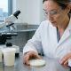 Nutrition expert reviewing packaged yogurt labels in Chicago grocery store