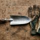 Hands using a steel transplanter to plant agave in sunlit Texas soil.