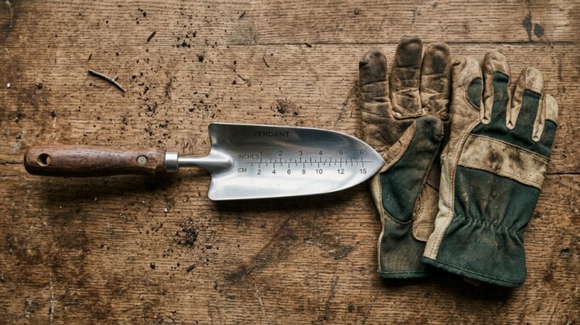 How to Choose the Best Transplanter for Texas Gardens