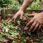Hands squeezing damp dark compost to test pile moisture levels.